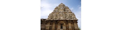 087. திருபழையாறை வடதளி